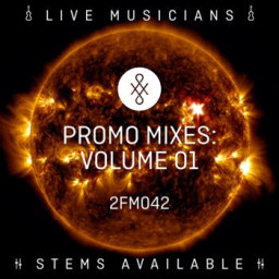 Promo Mixes - Volume 1