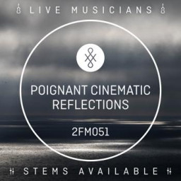 Poignant Cinematic Reflections