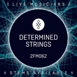 Determined Strings