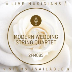 Modern Wedding String Quartet