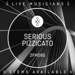 Serious Pizzicato