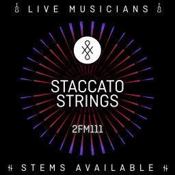Staccato Strings
