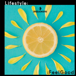 Lifestyle Feel Good Summer