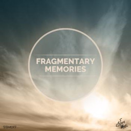 Fragmentary Memories