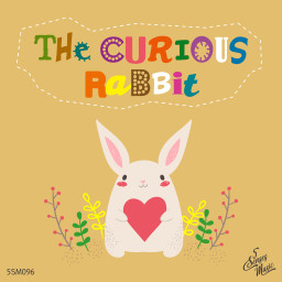 The Curious Rabbit