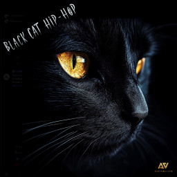 Black Cat Hip Hop