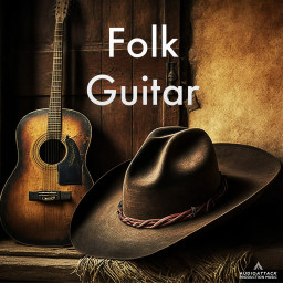 Folk Guitar