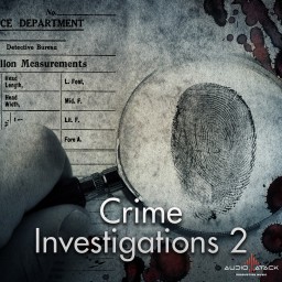 Crime Investigations 2