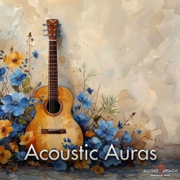 Acoustic Auras