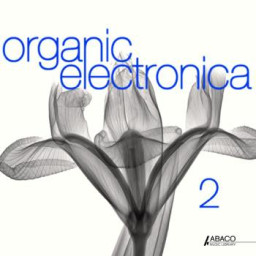 Organic Electronica 2
