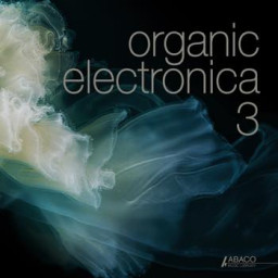 Organic Electronica 3