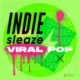 Viral Pop: Indie Sleaze