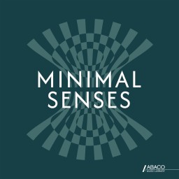 Minimal Senses
