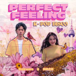 Perfect Feeling: K-Pop Disco