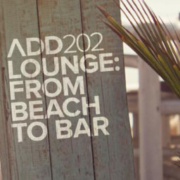 LOUNGE: FROM BEACH TO BAR