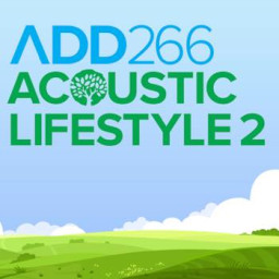 ACOUSTIC LIFESTYLE 2