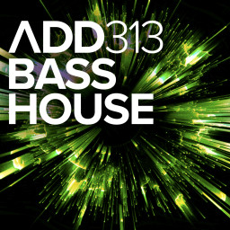 BASS HOUSE