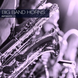 Big Band Horns