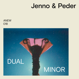 Dual Minor