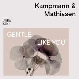 Gentle Like You
