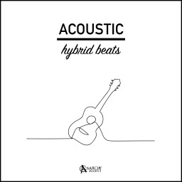 Acoustic Hybrid Beats
