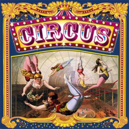 Circus