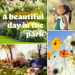 A BEAUTIFUL DAY IN THE PARK