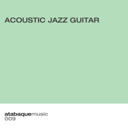 Acoustic Jazz Guitar