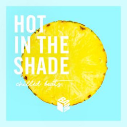 Hot In The Shade : Chilled Beats