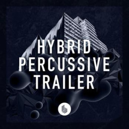 Hybrid Percussive Trailer