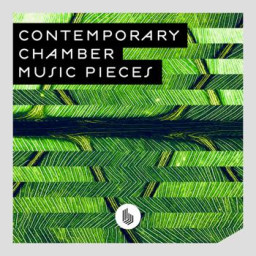 Contemporary Chamber Music Pieces