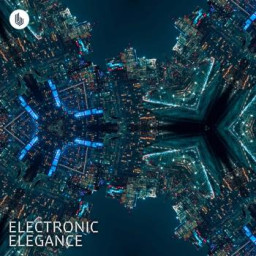 Electronic Elegance