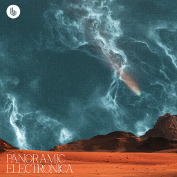 Panoramic Electronica