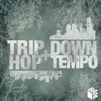 Trip-hop / Downtempo