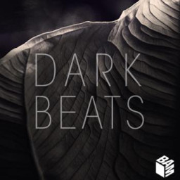 Dark Beats