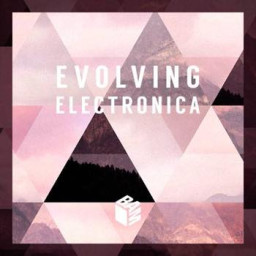 Evolving Electronica
