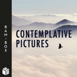 Contemplative Pictures