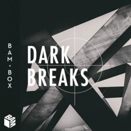 Dark Breaks