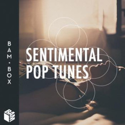 Sentimental Pop Tunes