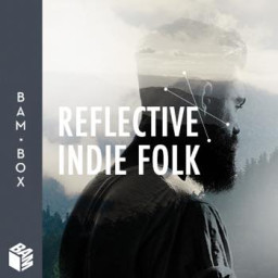 Reflective Indie-Folk