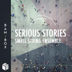 Serious Stories : Small String Ensemble