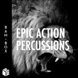 Epic Action Percussions