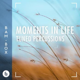 Moments in life, Tuned Percussions