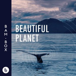 Beautiful Planet