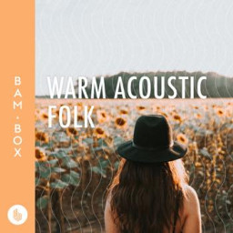 Warm Acoustic Folk