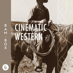 Cinematic Western