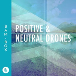 Positive and Neutral Drones