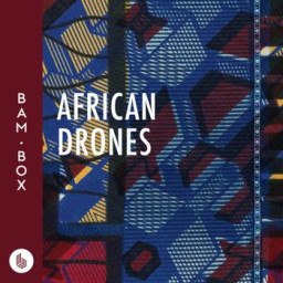 Africa Drones