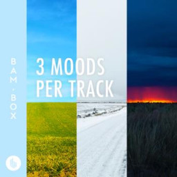 3 Moods Per Track