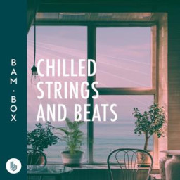 Chilled Strings and Beats